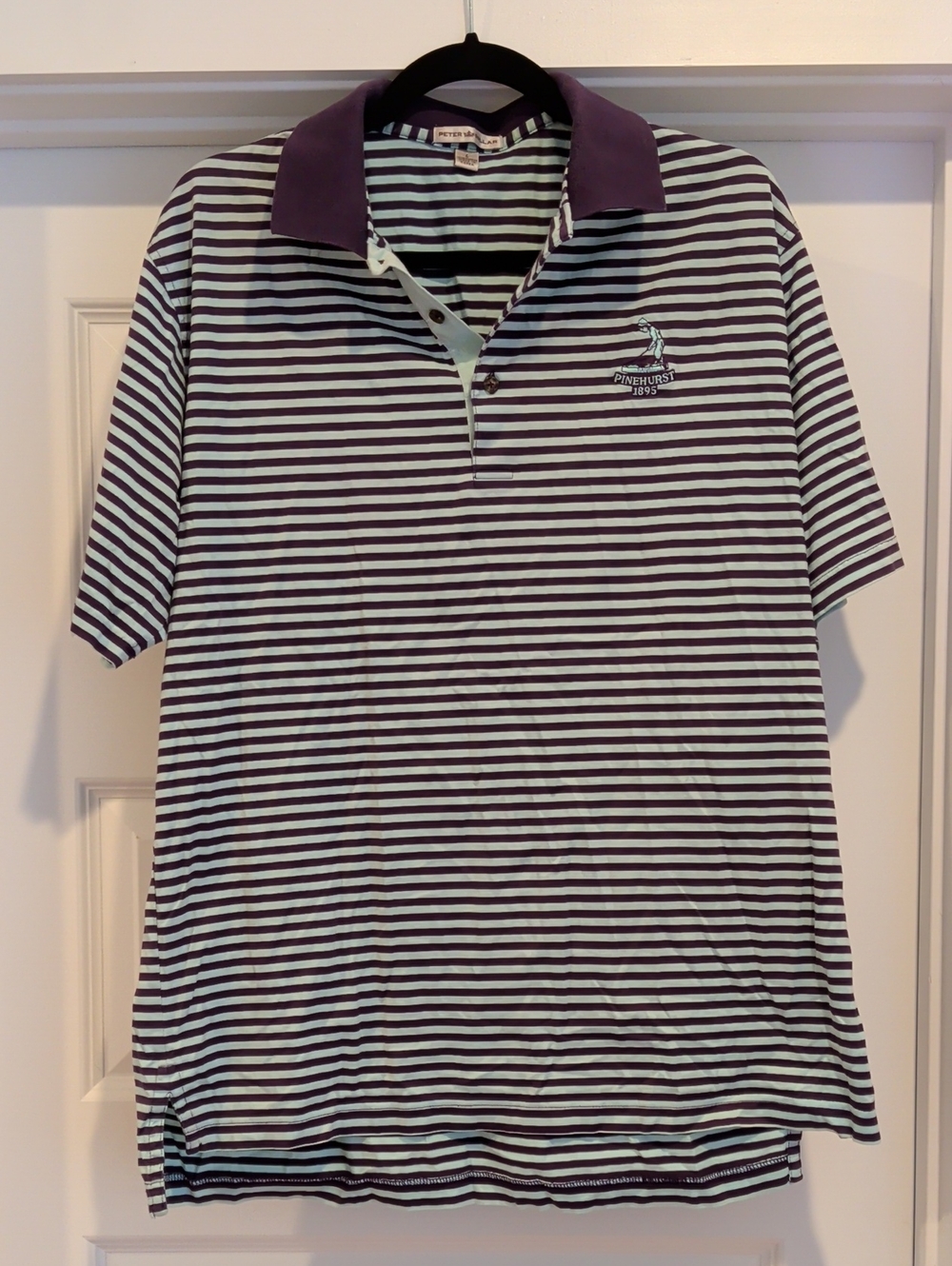 Peter Millar Polo Shirt in Purple and Light Blue